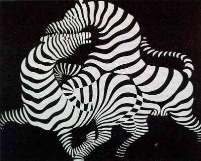 3 zebra-1937